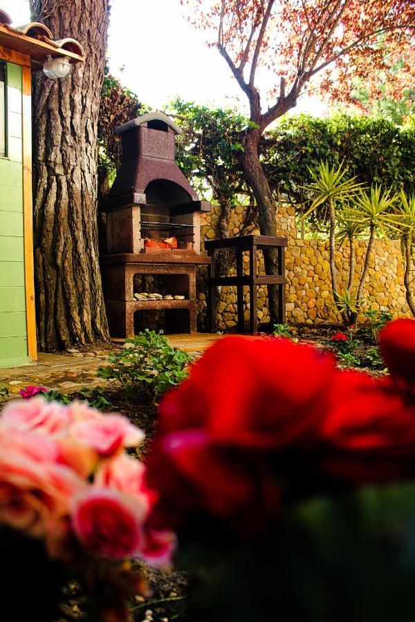 Porto SantʼElpidioLa Casa Di Nonno Giulio住宿加早餐旅馆 外观 照片