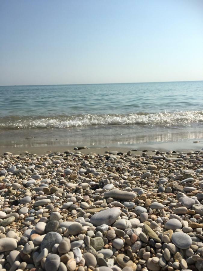 Porto SantʼElpidioLa Casa Di Nonno Giulio住宿加早餐旅馆 外观 照片