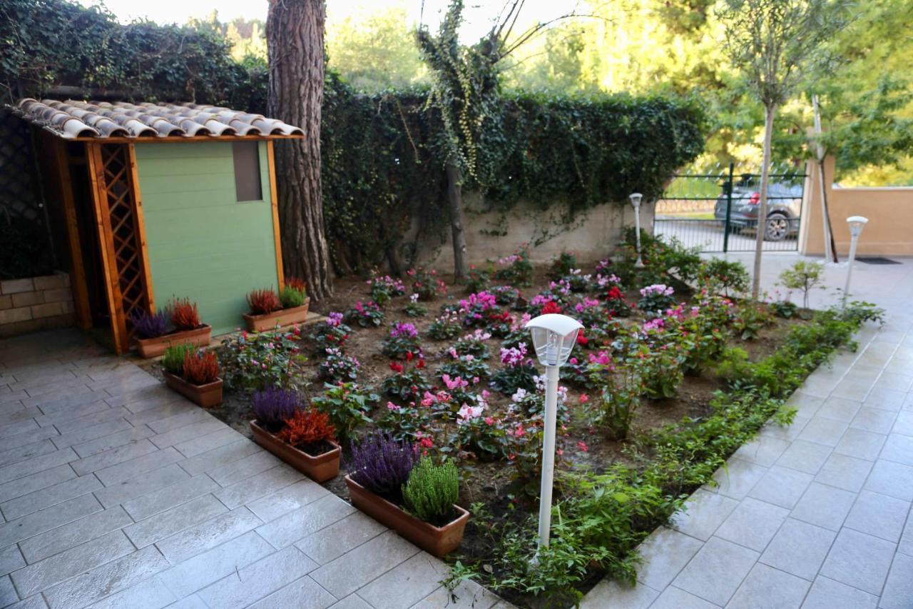 Porto SantʼElpidioLa Casa Di Nonno Giulio住宿加早餐旅馆 外观 照片