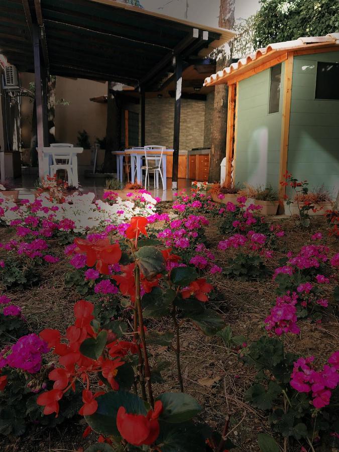 Porto SantʼElpidioLa Casa Di Nonno Giulio住宿加早餐旅馆 外观 照片